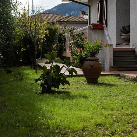 Sofia Villa *